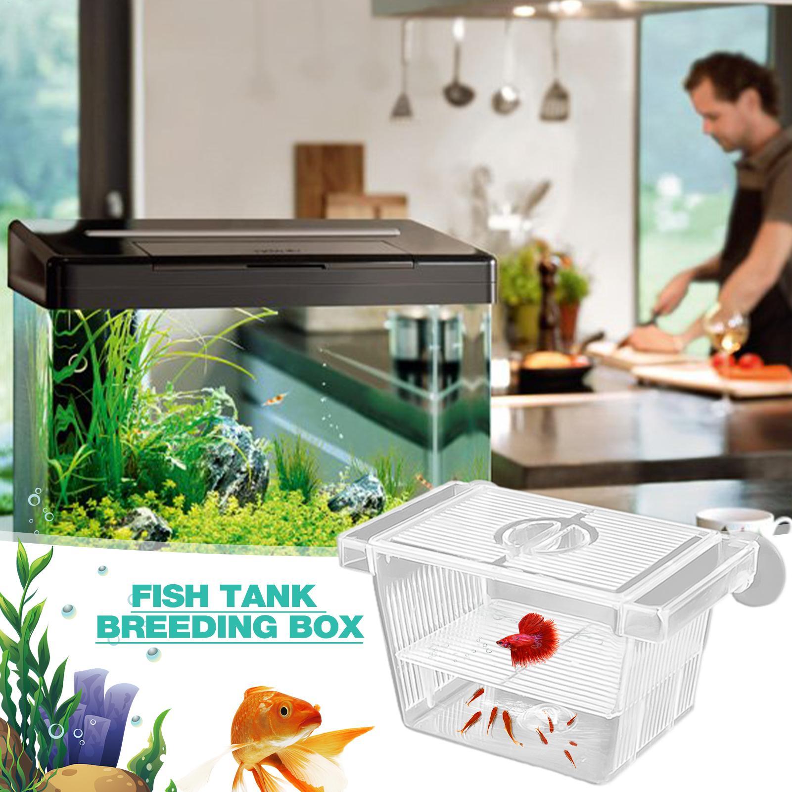 Aquariumkwekerij Acryl Isolati - Aquarium Fish Jar recensie en prijs