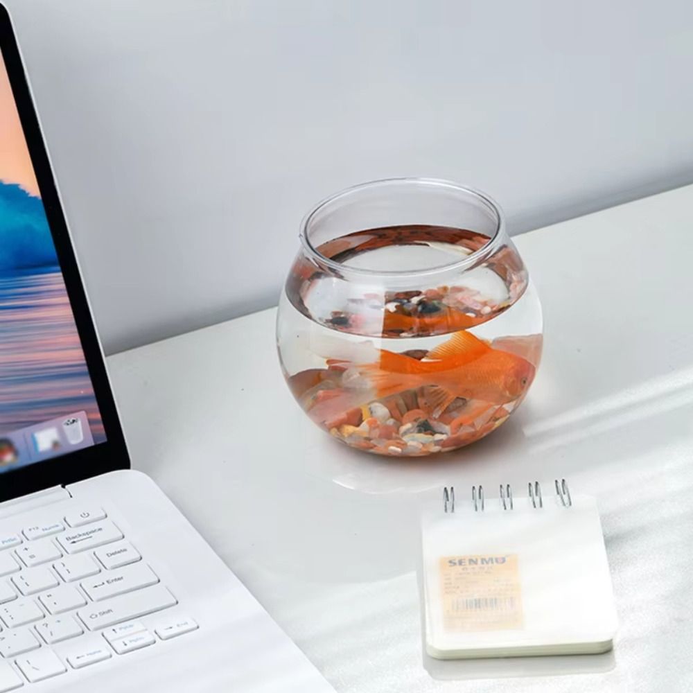 Nieuwe transparante aquarium r - Aquarium Fish Jar recensie en prijs
