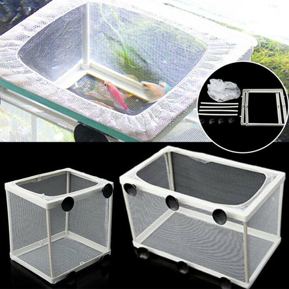 Broederij-isolatiedoos voor aq - Aquarium Fish Jar recensie en prijs