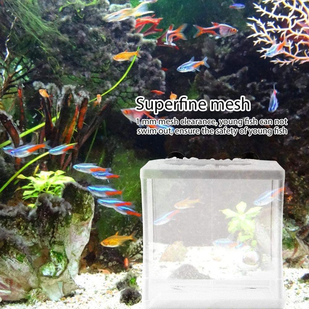 Broederij-isolatiedoos voor aq - Aquarium Fish Jar recensie en prijs