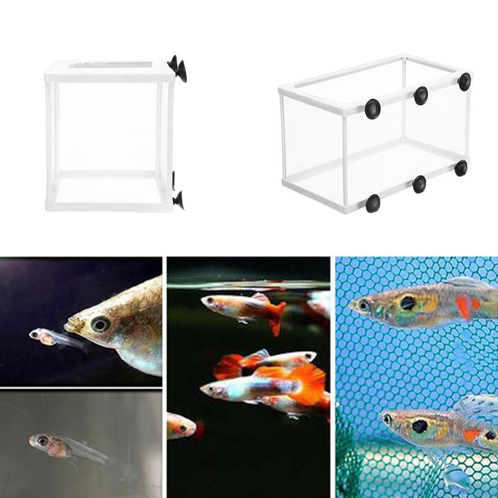 Broederij-isolatiedoos voor aq - Aquarium Fish Jar recensie en prijs