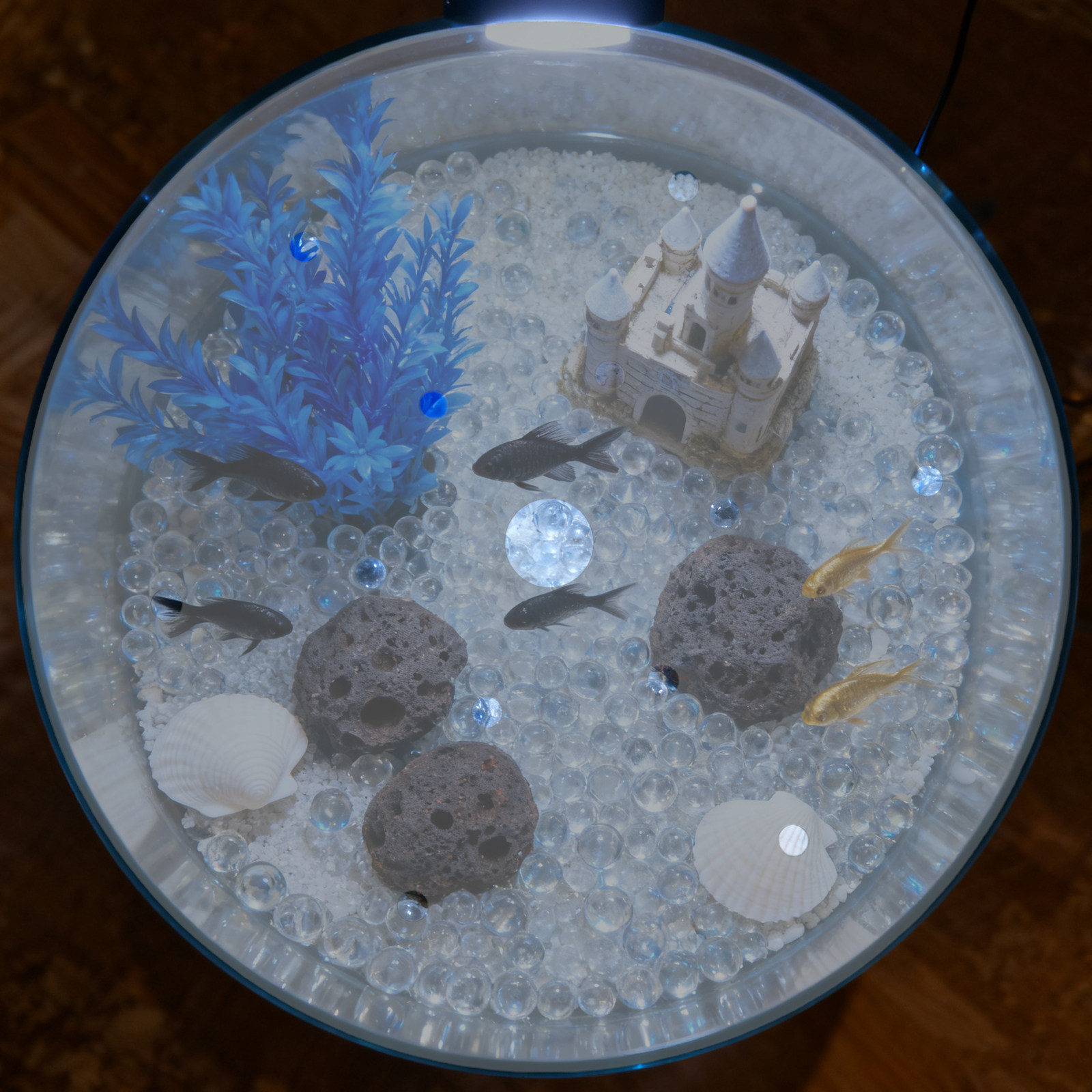 7 inch ronde acryl aquariumdek - Aquarium Fish Jar recensie en prijs
