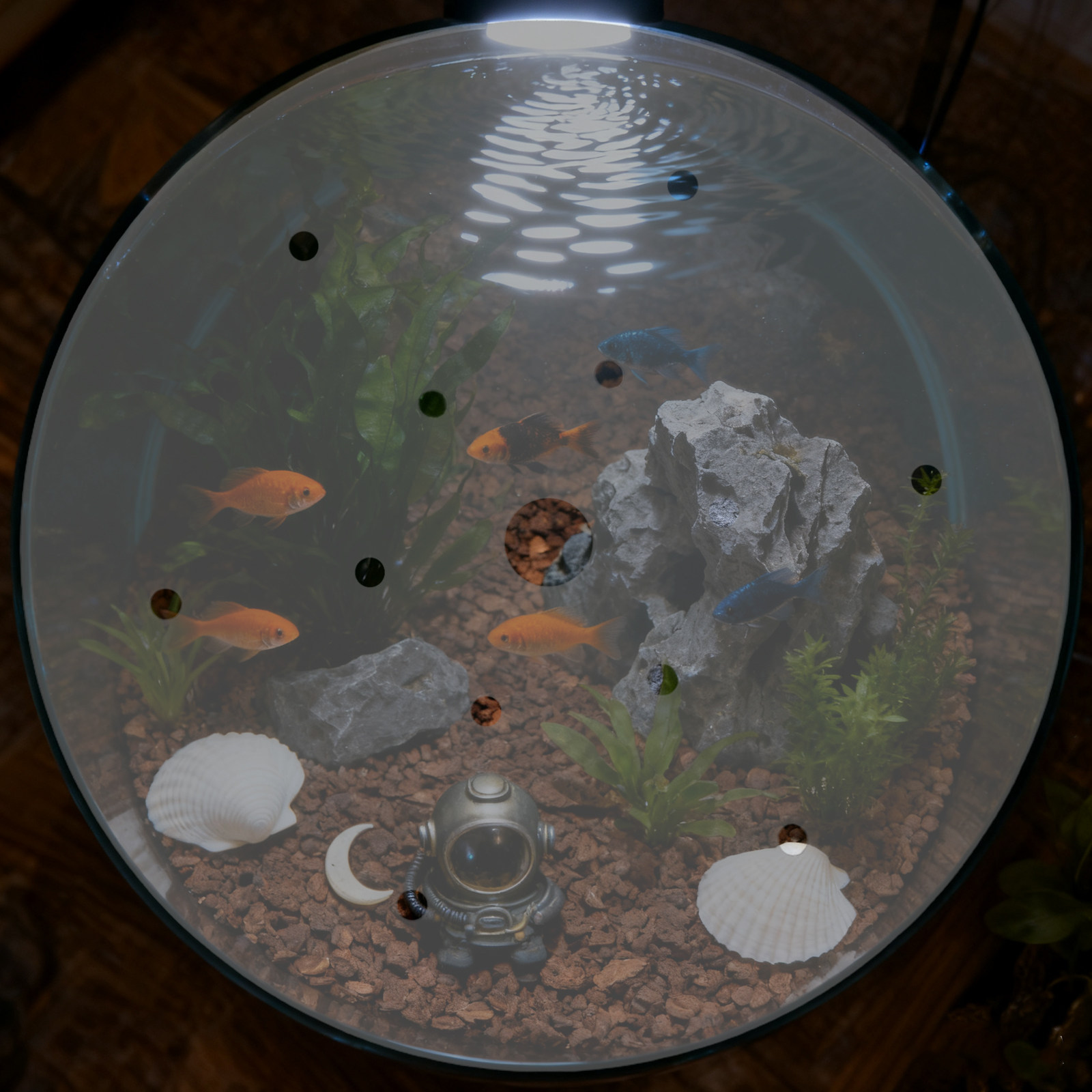 7 inch ronde acryl aquariumdek - Aquarium Fish Jar recensie en prijs