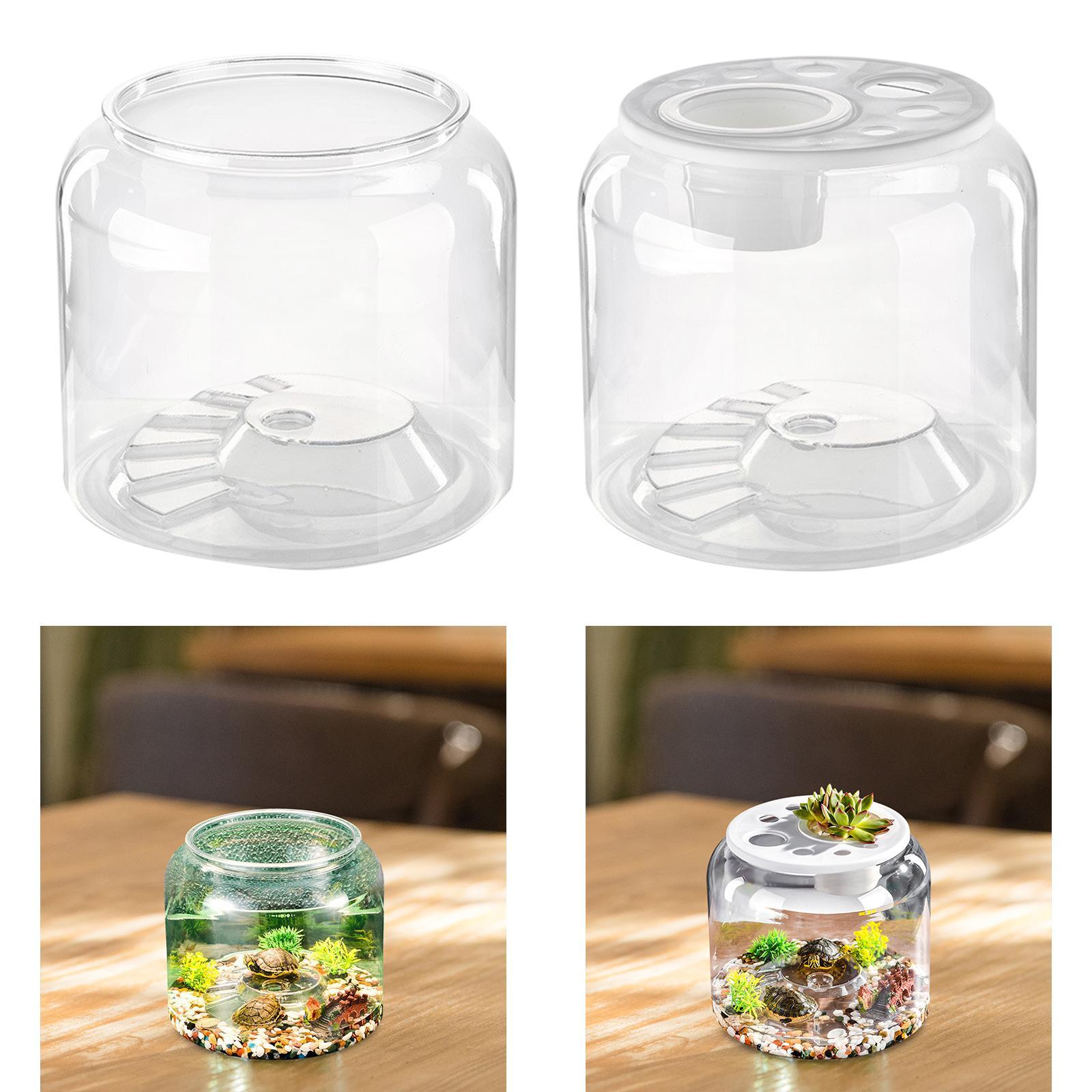 Schildpadcontainer Hoge capaci - Draw Fish Aquarium recensie en prijs