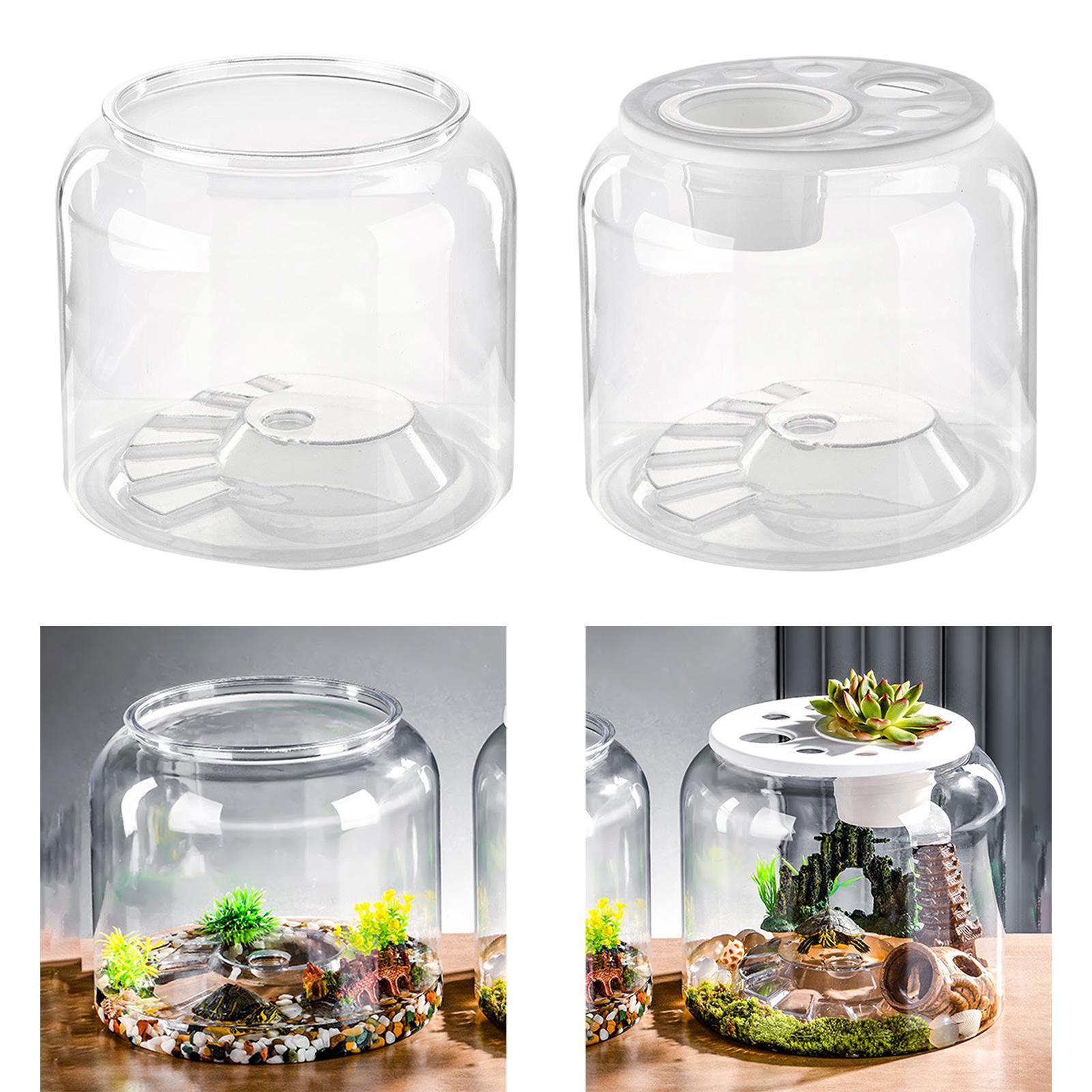 Schildpadcontainer Hoge capaci - Draw Fish Aquarium recensie en prijs